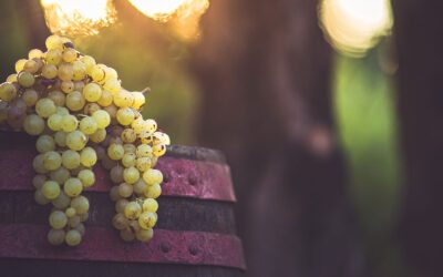 Legendenbildung oder schaffen Legenden Bildung?