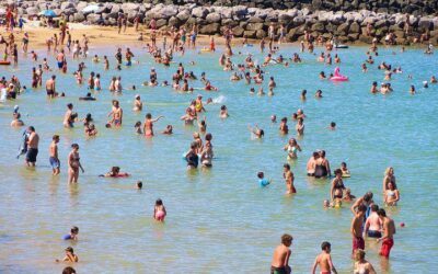 Die Plörre namens „Sommerwein“