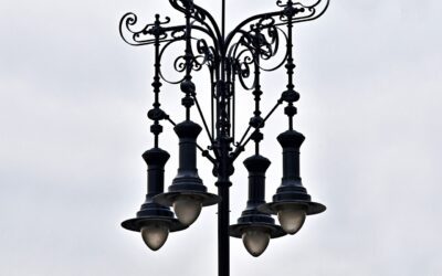 „Black Venuss“ aus dem Rheingau