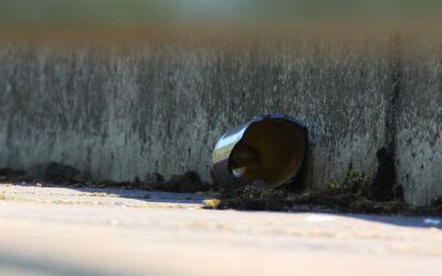 Wir sind dann mal berühmt!