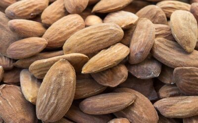 Von Nonnenhänden geknetet