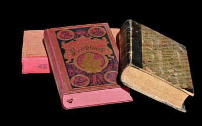 Lesezeit – Buchtipps für den Winter