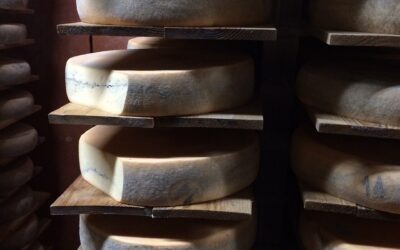 Ideal zu reifem Käse: Confit de Vin Jaune