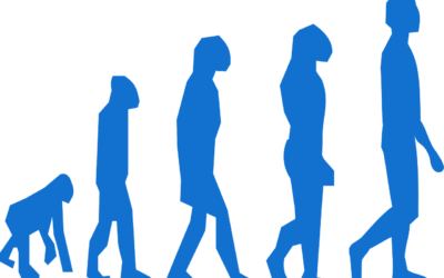 Sommerliches Inferno: Grillen und Wein