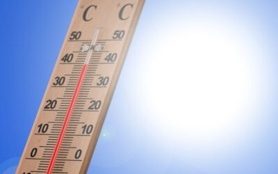 Der Wein zur Klimakrise