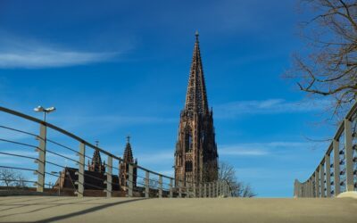 Märkte (6): Freiburger Münstermarkt