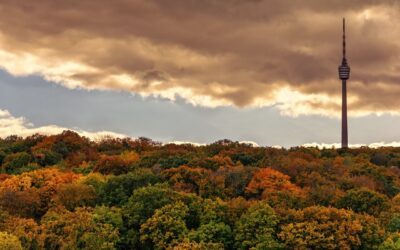 Serie Märkte (7): Markthalle Stuttgart