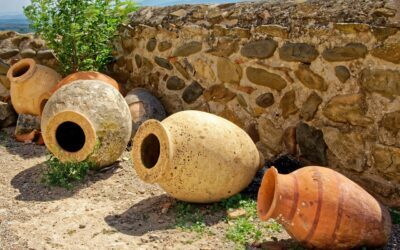 Rückschritt aus der Amphore: Der Hype um den Naturwein