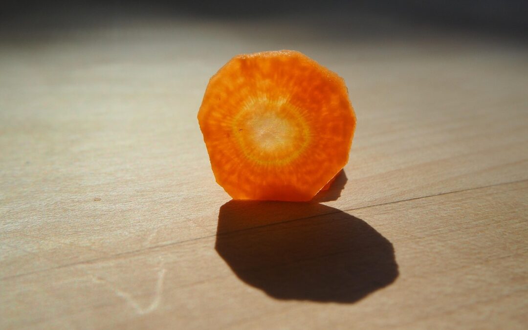 Veggiewahn und kein Ende