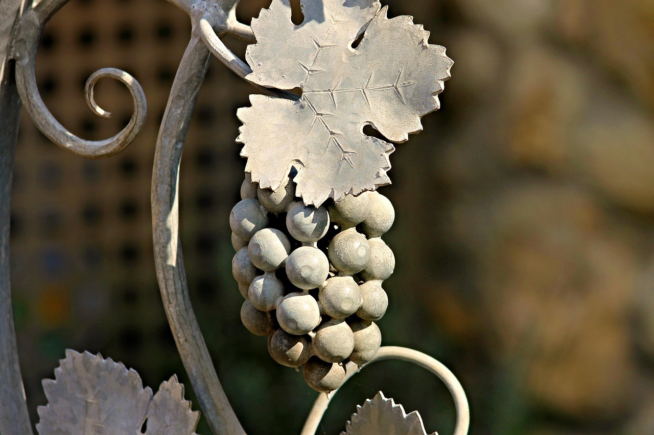 grape-2759568_1280