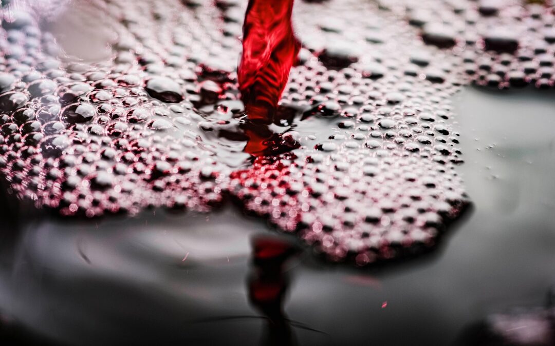 Escoffier (19): Rotweinsauce