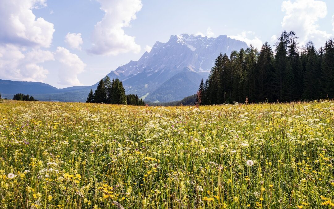 „Ähndl“ in Murnau