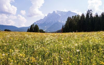 „Ähndl“ in Murnau