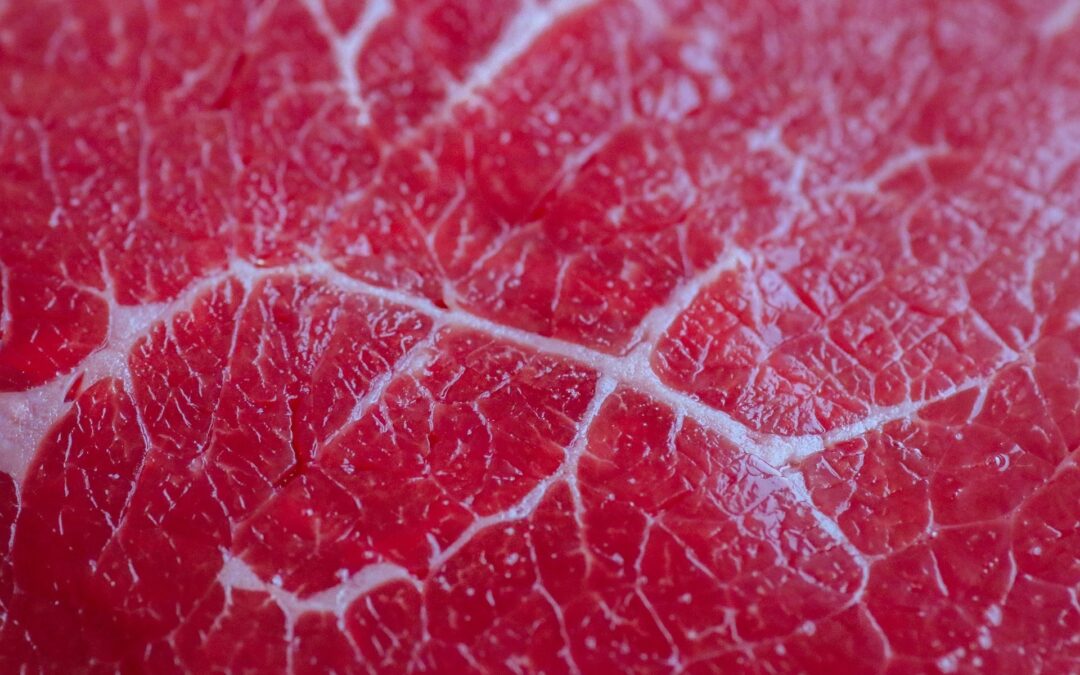 Etscheits Cancel Cuisine: Rohes Fleisch