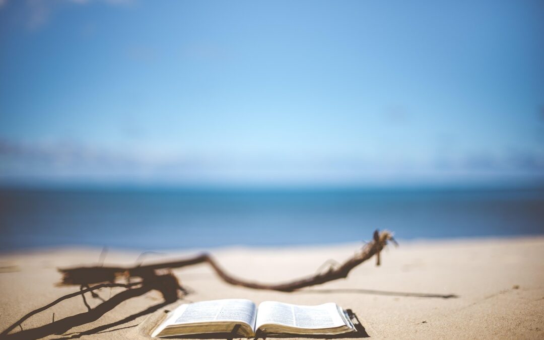 Kulinarisches für den Strand