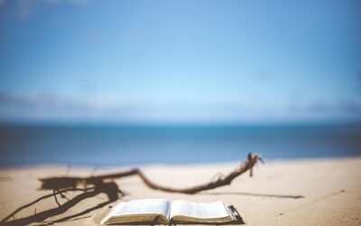 Kulinarisches für den Strand