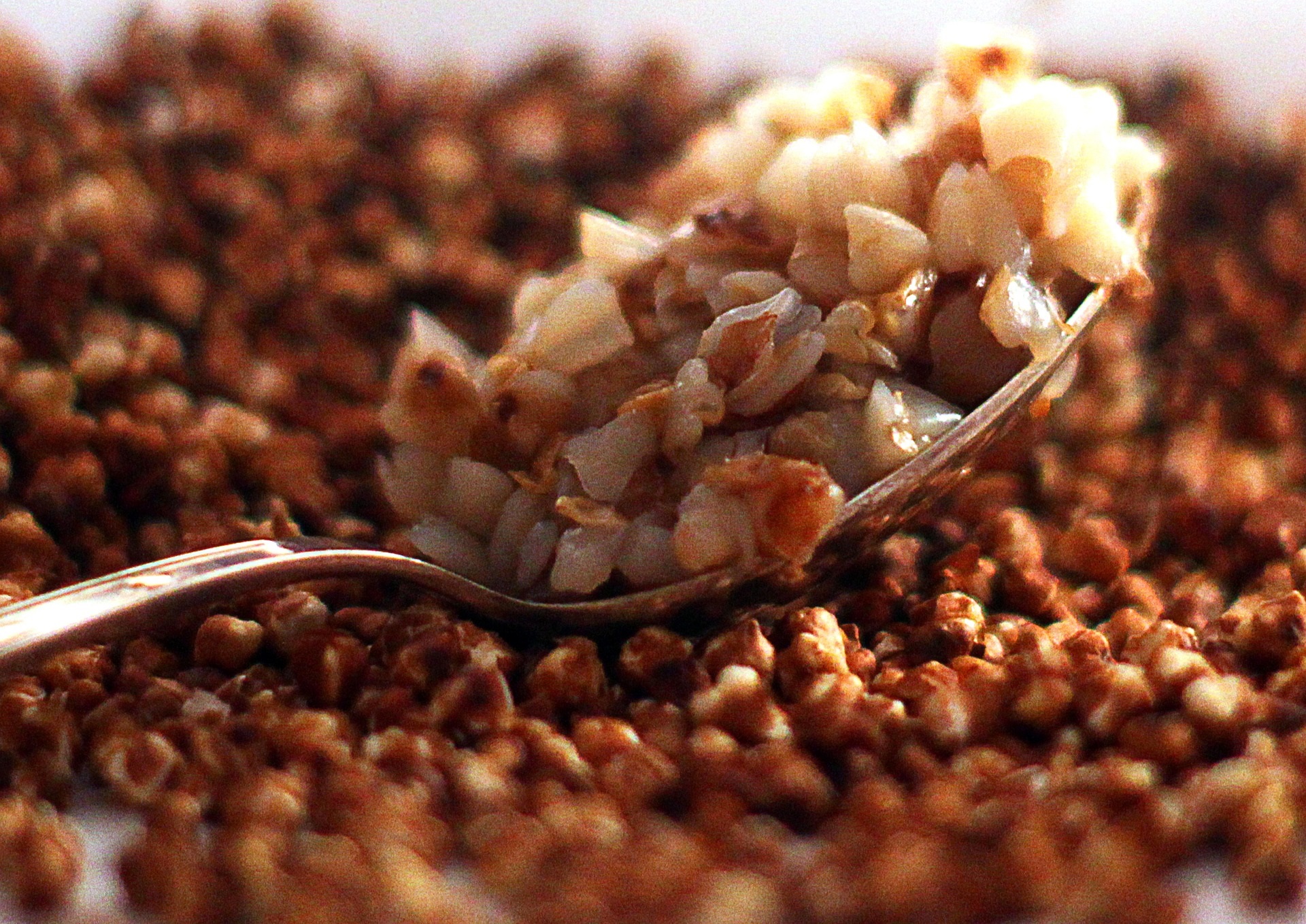 iira116-buckwheat-4969410_1920